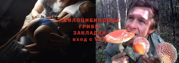 PSILOCYBIN Беломорск