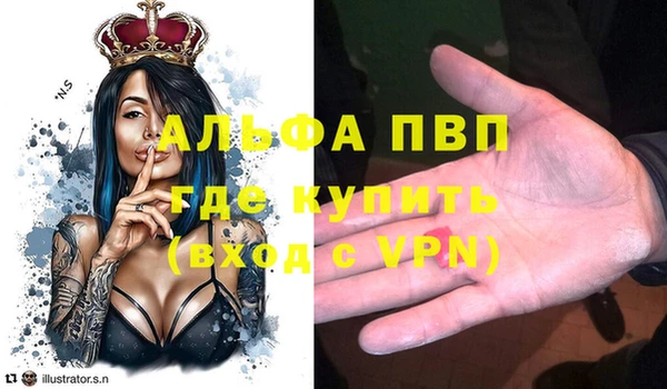 PSILOCYBIN Беломорск